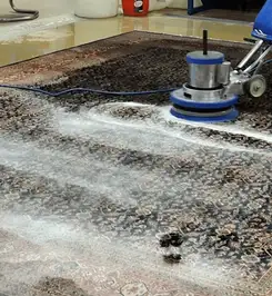 Professional rug cleaning with a rotary floor machine and shampoo foam, deep-cleaning an area rug Colorado Springs, CO.